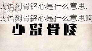 成语刻骨铭心是什么意思,成语刻骨铭心是什么意思啊