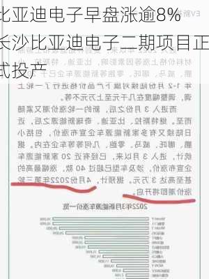 比亚迪电子早盘涨逾8% 长沙比亚迪电子二期项目正式投产