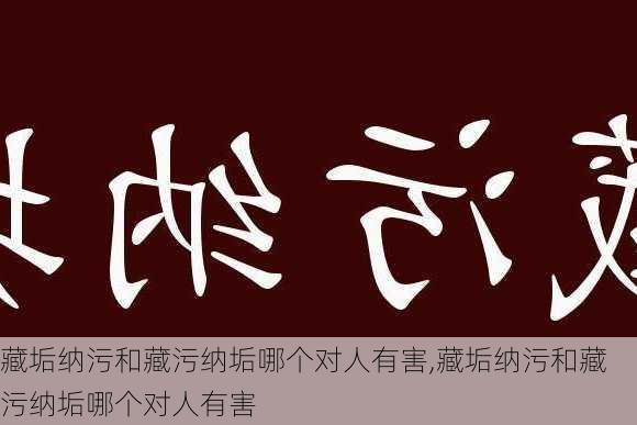 藏垢纳污和藏污纳垢哪个对人有害,藏垢纳污和藏污纳垢哪个对人有害