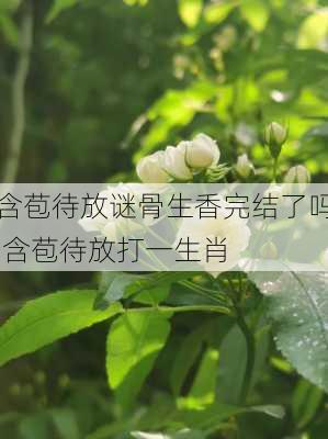 含苞待放谜骨生香完结了吗,含苞待放打一生肖