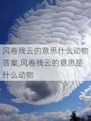 风卷残云的意思什么动物答案,风卷残云的意思是什么动物