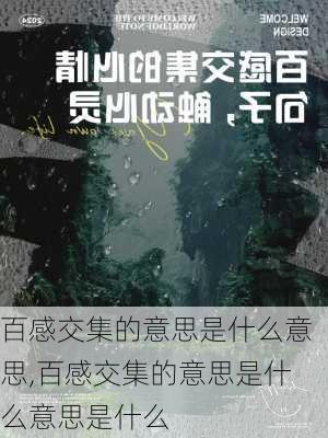 百感交集的意思是什么意思,百感交集的意思是什么意思是什么