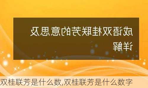 双桂联芳是什么数,双桂联芳是什么数字