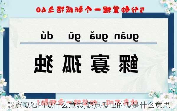 鳏寡孤独的孤什么意思,鳏寡孤独的孤是什么意思