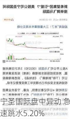 宁圣国际盘中异动 急速跳水5.20%