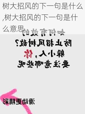 树大招风的下一句是什么,树大招风的下一句是什么意思