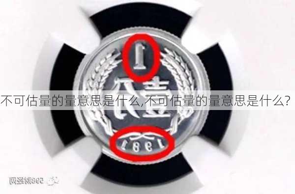 不可估量的量意思是什么,不可估量的量意思是什么?