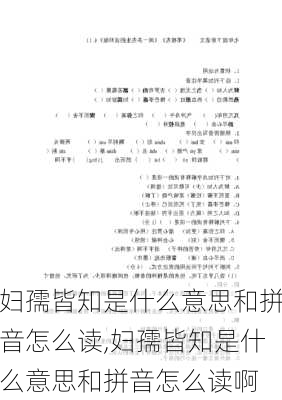 妇孺皆知是什么意思和拼音怎么读,妇孺皆知是什么意思和拼音怎么读啊