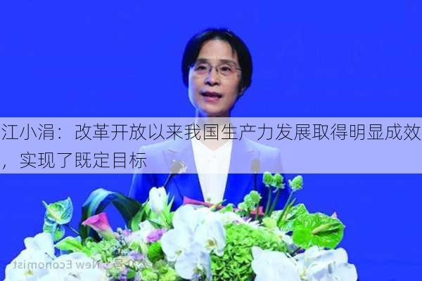 江小涓：改革开放以来我国生产力发展取得明显成效，实现了既定目标