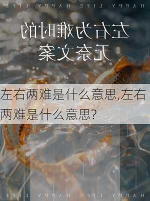 左右两难是什么意思,左右两难是什么意思?