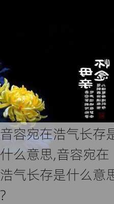 音容宛在浩气长存是什么意思,音容宛在浩气长存是什么意思?