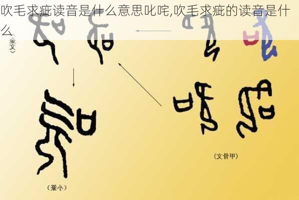 吹毛求疵读音是什么意思叱咤,吹毛求疵的读音是什么