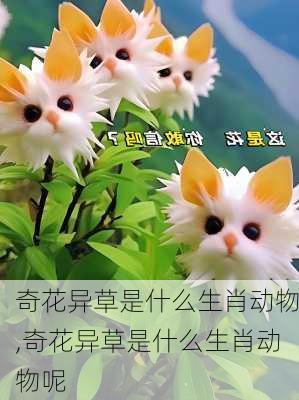 奇花异草是什么生肖动物,奇花异草是什么生肖动物呢