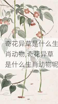 奇花异草是什么生肖动物,奇花异草是什么生肖动物呢