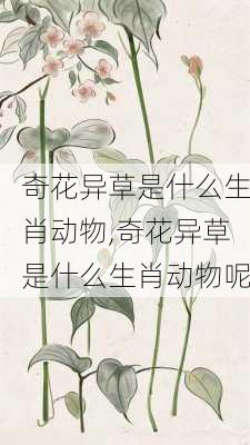 奇花异草是什么生肖动物,奇花异草是什么生肖动物呢