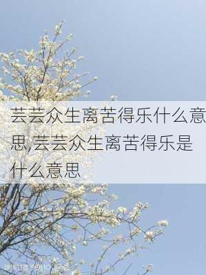 芸芸众生离苦得乐什么意思,芸芸众生离苦得乐是什么意思