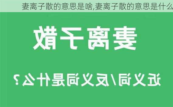 妻离子散的意思是啥,妻离子散的意思是什么