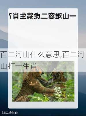 百二河山什么意思,百二河山打一生肖