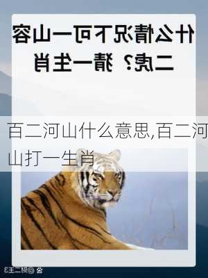 百二河山什么意思,百二河山打一生肖