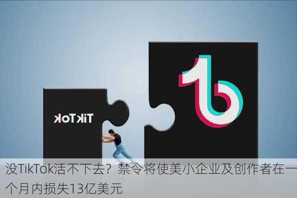 没TikTok活不下去？禁令将使美小企业及创作者在一个月内损失13亿美元