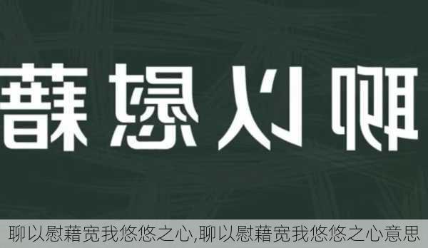 聊以慰藉宽我悠悠之心,聊以慰藉宽我悠悠之心意思