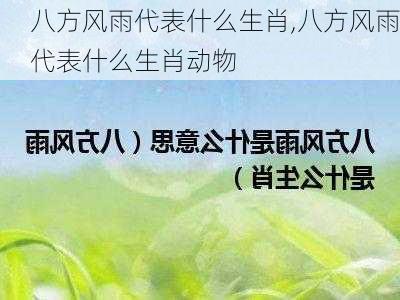 八方风雨代表什么生肖,八方风雨代表什么生肖动物