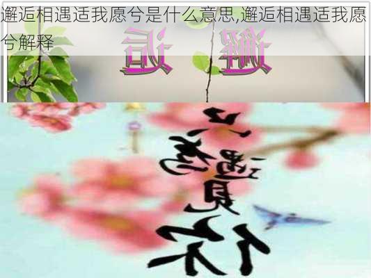 邂逅相遇适我愿兮是什么意思,邂逅相遇适我愿兮解释