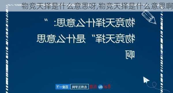 物竞天择是什么意思呀,物竞天择是什么意思啊