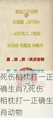 死伤相枕打一正确生肖?,死伤相枕打一正确生肖动物