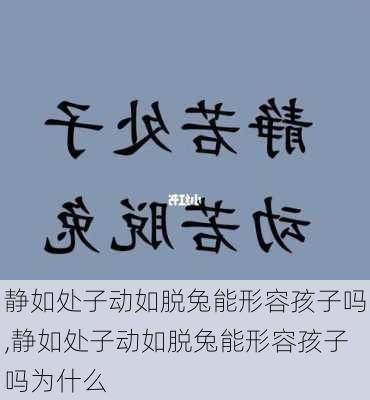 静如处子动如脱兔能形容孩子吗,静如处子动如脱兔能形容孩子吗为什么