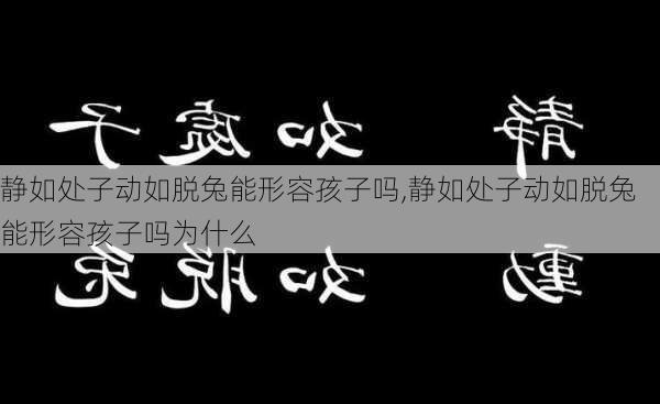 静如处子动如脱兔能形容孩子吗,静如处子动如脱兔能形容孩子吗为什么