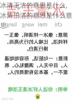 冰清玉洁的意思是什么,冰清玉洁的意思是什么意思