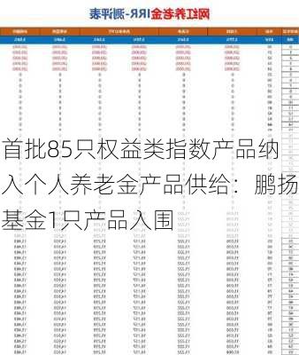 首批85只权益类指数产品纳入个人养老金产品供给：鹏扬基金1只产品入围