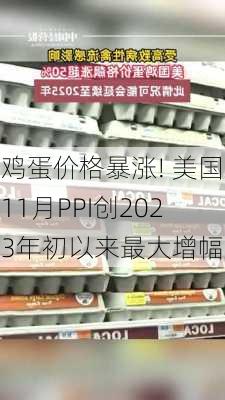 鸡蛋价格暴涨! 美国11月PPI创2023年初以来最大增幅