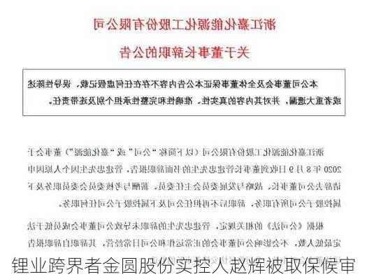 锂业跨界者金圆股份实控人赵辉被取保候审