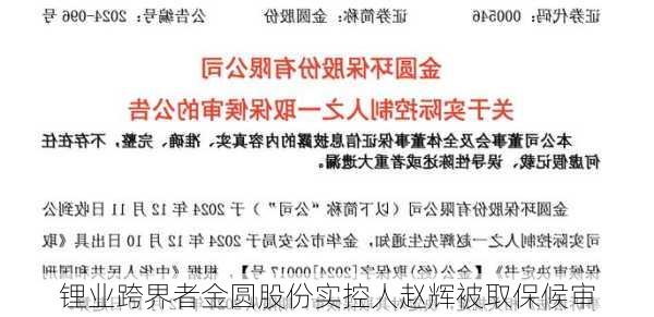 锂业跨界者金圆股份实控人赵辉被取保候审