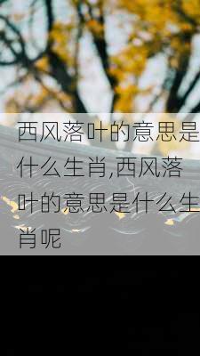 西风落叶的意思是什么生肖,西风落叶的意思是什么生肖呢