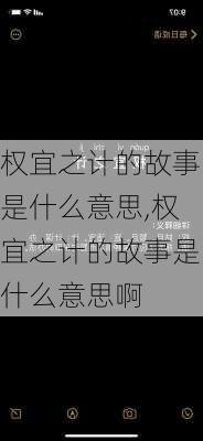 权宜之计的故事是什么意思,权宜之计的故事是什么意思啊