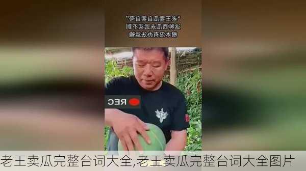 老王卖瓜完整台词大全,老王卖瓜完整台词大全图片