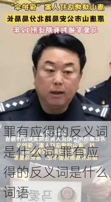 罪有应得的反义词是什么词,罪有应得的反义词是什么词语