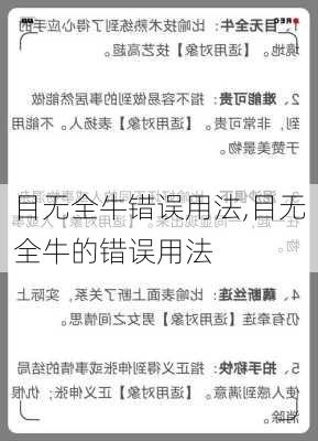 目无全牛错误用法,目无全牛的错误用法