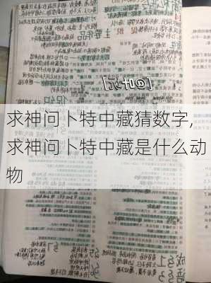 求神问卜特中藏猜数字,求神问卜特中藏是什么动物