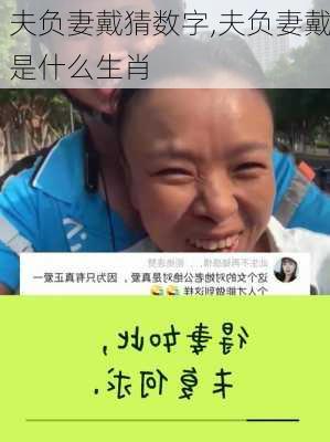 夫负妻戴猜数字,夫负妻戴是什么生肖