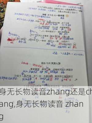 身无长物读音zhang还是chang,身无长物读音 zhang