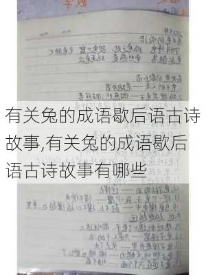 有关兔的成语歇后语古诗故事,有关兔的成语歇后语古诗故事有哪些