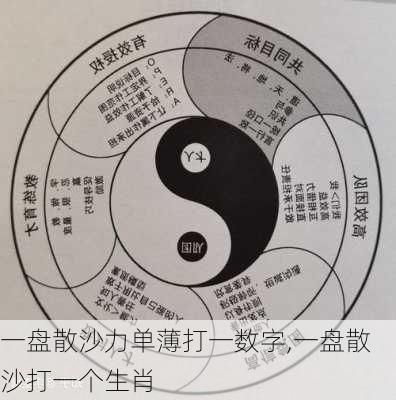 一盘散沙力单薄打一数字,一盘散沙打一个生肖