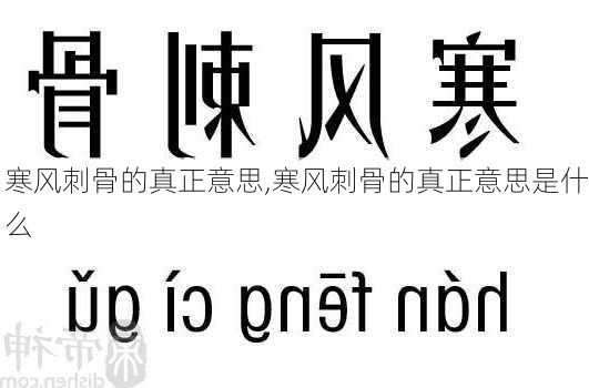 寒风刺骨的真正意思,寒风刺骨的真正意思是什么