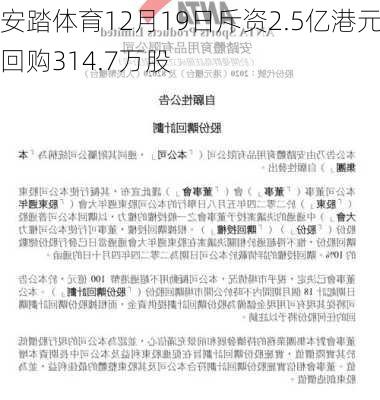 安踏体育12月19日斥资2.5亿港元回购314.7万股