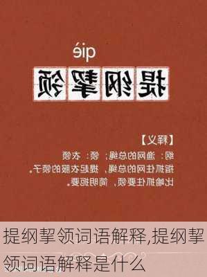 提纲挈领词语解释,提纲挈领词语解释是什么