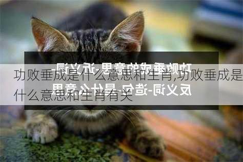 功败垂成是什么意思和生肖,功败垂成是什么意思和生肖有关